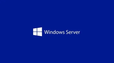 Програмен продукт с лицензен стикер Windows Server CAL 2025 English 1pk DSP OEI 1 Clt Device CAL