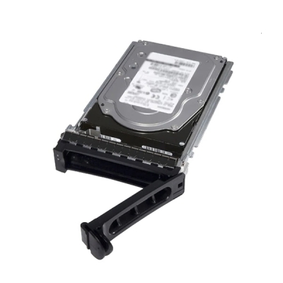 Твърд диск Dell 480GB SSD SATA ISE RI 6Gbps 512e 2.5in Hot-Plug , CK, for R450, R650xs, R650 and others