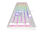 Клавиатура Genesis Gaming Keyboard Thor 303 White RGB Backlight US Layout Brown Switch