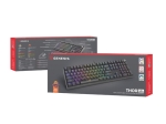 Клавиатура Genesis Mechanical Gaming Keyboard Thor 404 Black RGB Backlight Outemu Peach Silent, US Layout